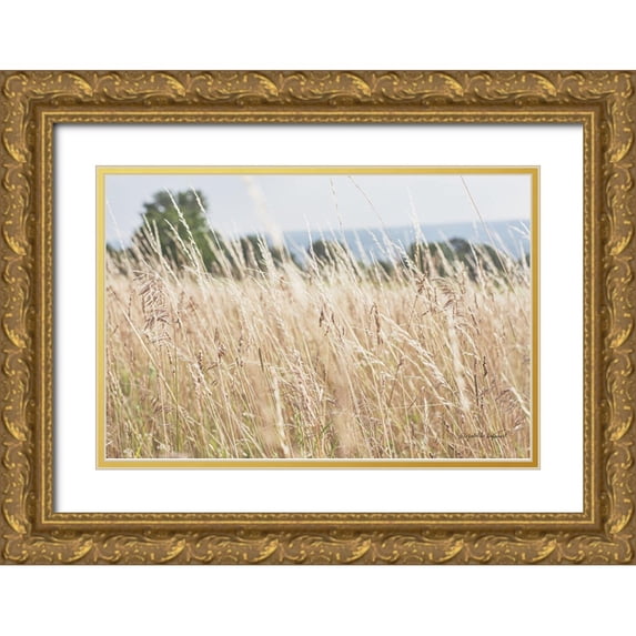 Urquhart, Elizabeth 24x17 Gold Ornate Wood Framed with Double Matting Museum Art Print Titled - Summer Field I