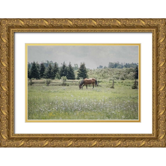 Urquhart, Elizabeth 24x17 Gold Ornate Wood Framed with Double Matting Museum Art Print Titled - Sun Drenched II