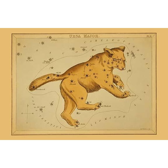 Ursa Major- Fine Art Canvas Print (20" x 30")