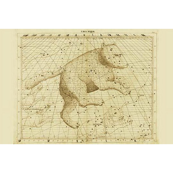 Ursa Major-Fine Art Canvas Print (20" x 30")