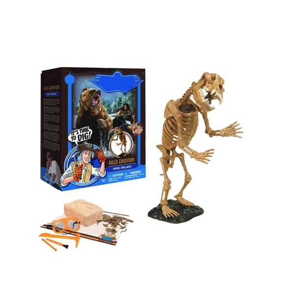 Ursus Spelaeus Fossil Dig Kit | Dinosaur Digging Fossil Kit Model Toys| Educational Fossil Excavation Kit | STEM Science Activity Set| Perfect for Aspiring Paleontologists