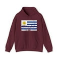 thumbnail image 1 of Uruguay Uruguayan Pride Flag Hoodie, Gifts, Hooded Sweatshirt, 1 of 4