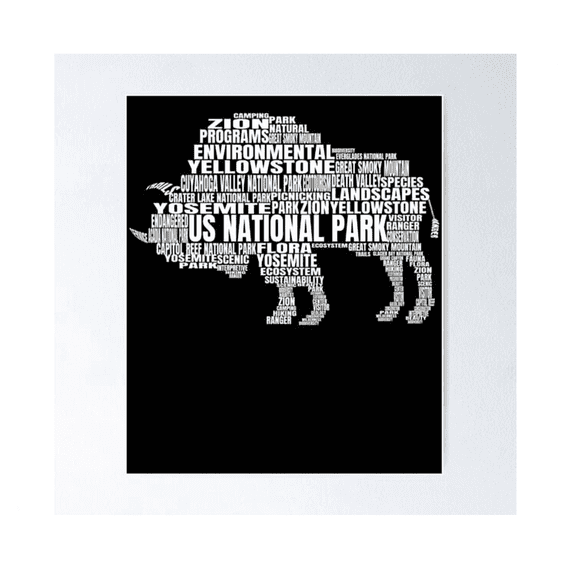Us National Parks Buffalo Hiking Campground Kids Camping Gear Poster