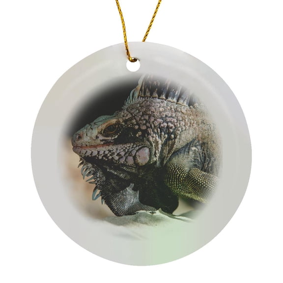 3drose, Us Virgin Island, St Thomas, Magens Bay. Close up of Iguana on Beach, Circle Porcelain Ornament