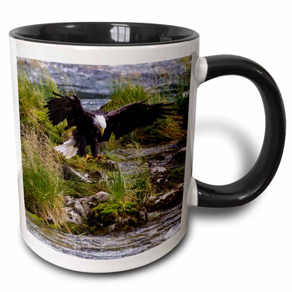 3drose, Usa, Alaska. Bald Eagle Feeding on Salmon. Chilkoot River Near Haines, 11oz Two-tone Black Mug