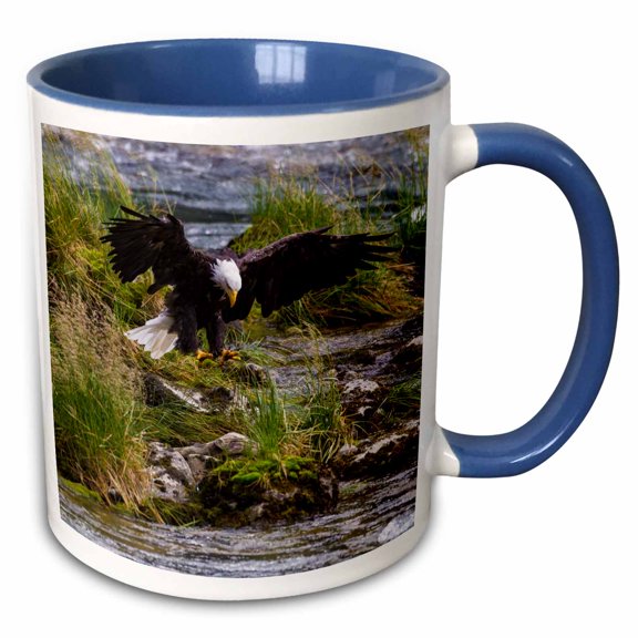3drose, Usa, Alaska. Bald Eagle Feeding on Salmon. Chilkoot River Near Haines, 11oz Two-tone Blue Mug