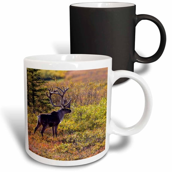 3drose, Usa, Alaska. Caribou Bull in Denali Np in Late Fall., 11oz Magic Transforming Mug
