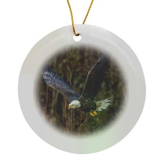3drose, Usa, Alaska, Chilkat Bald Eagle Preserve, Bald Eagle Adult Flying, Circle Porcelain Ornament