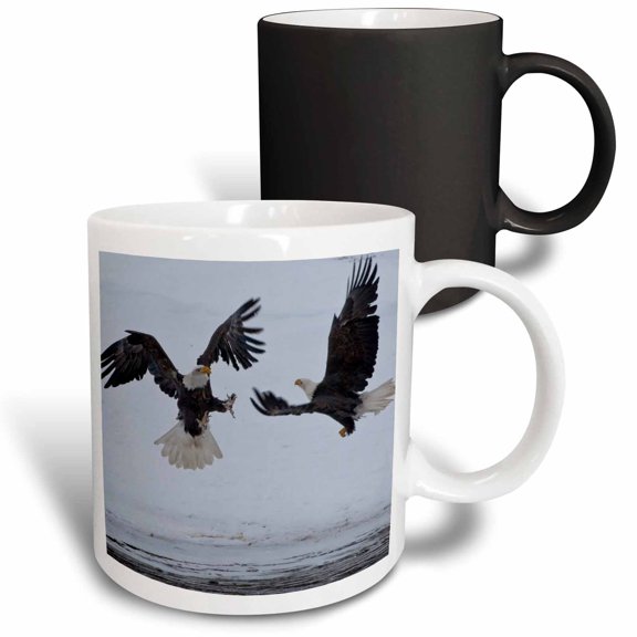 3drose, Usa, Alaska, Chilkat River. Bald Eagle - Us02 Bja0296 - Jaynes Gallery, 11oz Magic Transforming Mug
