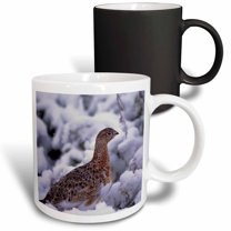 3drose, Usa, Alaska, Denali Np, Willow Ptarmigan Bird - Us02 Csl0087 - Charles Sleicher, 11oz Magic Transforming Mug