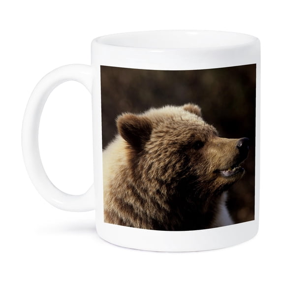 3dRose, USA, Alaska, Grizzly Bear, Denali National Park - US02 GRE0078 - Gerry Reynolds, 11oz Mug