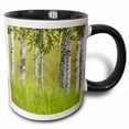 thumbnail image 1 of 3drose, Usa, Alaska. Paper Birch Trees and Grass., 15oz Two-tone Black Mug, 1 of 6
