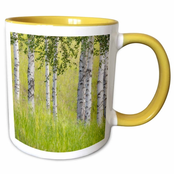 3drose, Usa, Alaska. Paper Birch Trees and Grass., 15oz Two-tone Yellow Mug