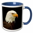 thumbnail image 1 of 3drose, Usa, Alaska. Regal Bald Eagle Portrait., 11oz Two-tone Blue Mug, 1 of 6