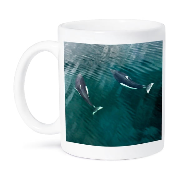 3dRose, USA, Alaska, Seymour Canal. Dalls porpoises swimming underwater., 11oz Mug