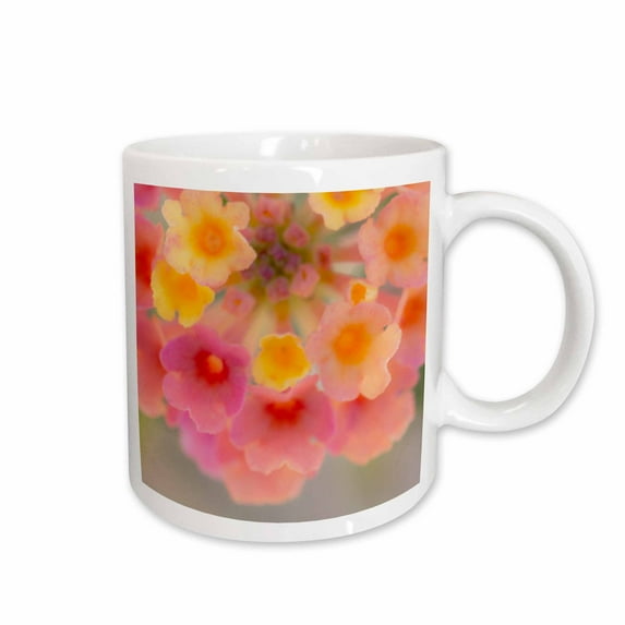 3drose, Usa, Arizona. Abstract Detail of Lantana Flowers., 11oz Mug