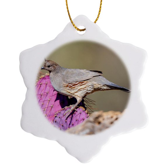 3drose, Usa, Arizona, Amado. Female Gambels Quail on Cactus., 3 inch Snowflake Porcelain Ornament
