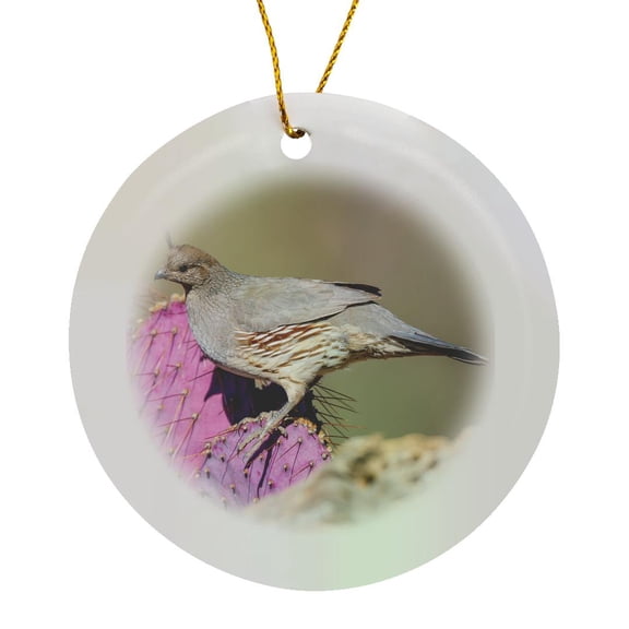 3drose, Usa, Arizona, Amado. Female Gambels Quail on Cactus., Circle Porcelain Ornament