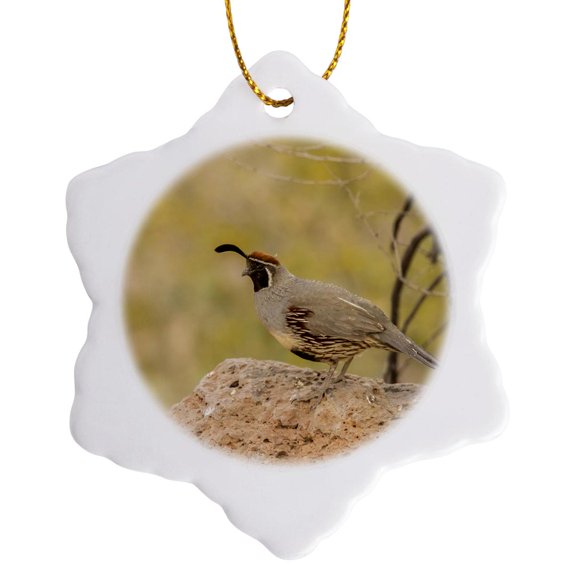 3drose, Usa, Arizona, Desert Botanic Garden. Male Gambels Quail., 3 inch Snowflake Porcelain Ornament