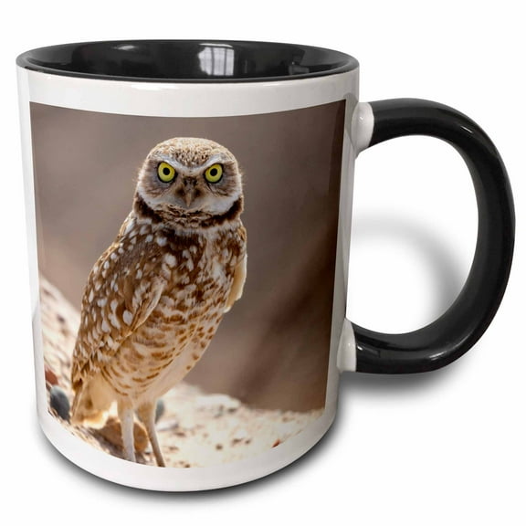 3drose, Usa, Arizona, Goodyear. Burrowing Owl Close Up., 15oz Two-tone Black Mug