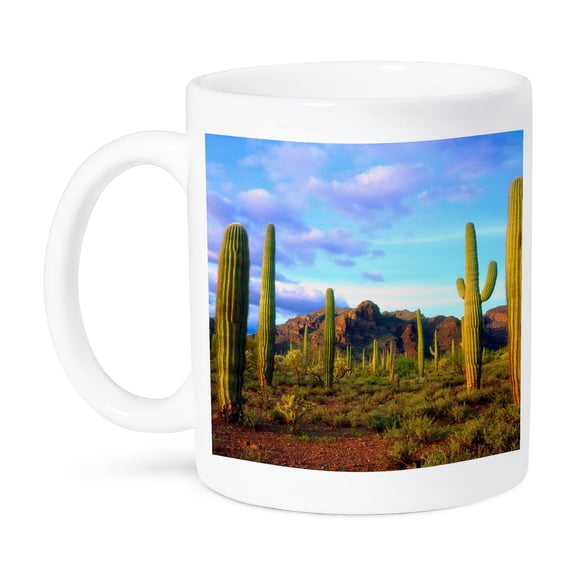 3dRose, USA, Arizona, Organ Pipe Cactus National Monument. Desert in spring., 15oz Mug