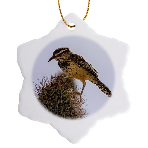 3drose, Usa, Arizona, Sonoran Desert. Cactus Wren Perched on Cactus Thorns, 3 inch Snowflake Porcelain Ornament