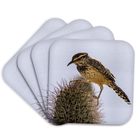 3drose, Usa, Arizona, Sonoran Desert. Cactus Wren Perched on Cactus Thorns, Set of 4 Coasters - Soft