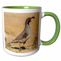 3drose, Usa, Arizona, Sonoran Desert. Male Gambels Quail., 11oz Two-tone Green Mug