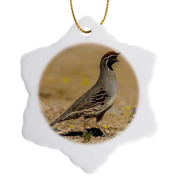 3drose, Usa, Arizona, Sonoran Desert. Male Gambels Quail., 3 inch Snowflake Porcelain Ornament