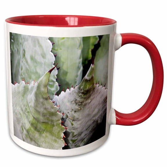 3drose, Usa, Arizona, Tucson, Arizona-sonora Desert Museum, Agave Plant., 11oz Two-tone Red Mug