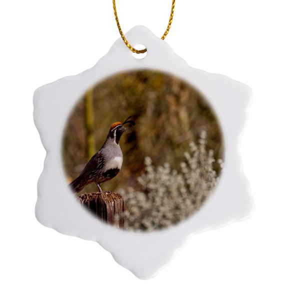 3drose, Usa, Arizona, Tucson, Gambels Quail, 3 inch Snowflake Porcelain Ornament