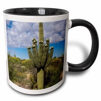 3drose, Usa, Arizona, Tucson, Saguaro National Park., 15oz Two-tone Black Mug
