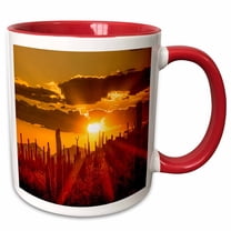 3drose, Usa, Arizona, Tucson, Saguaro National Park, 15oz Two-tone Red Mug
