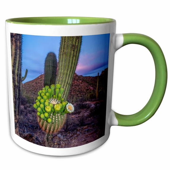 3drose, Usa, Arizona, Tucson, Saguaro National Park, Blooming Saguaro., 11oz Two-tone Green Mug