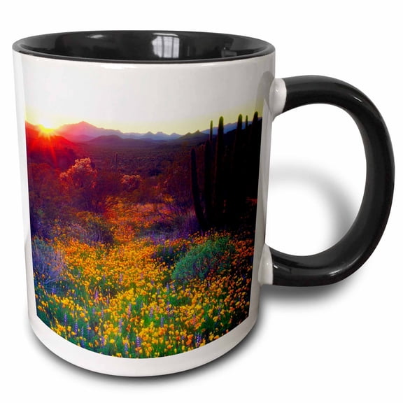 3drose, Usa, Arizona, Wildflowers and Cacti in Organ Pipe National Monument., 11oz Two-tone Black Mug