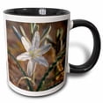 thumbnail image 1 of 3drose, Usa, California, Anza-borrego Desert Sp. Desert Lily Wildflowers., 11oz Two-tone Black Mug, 1 of 6