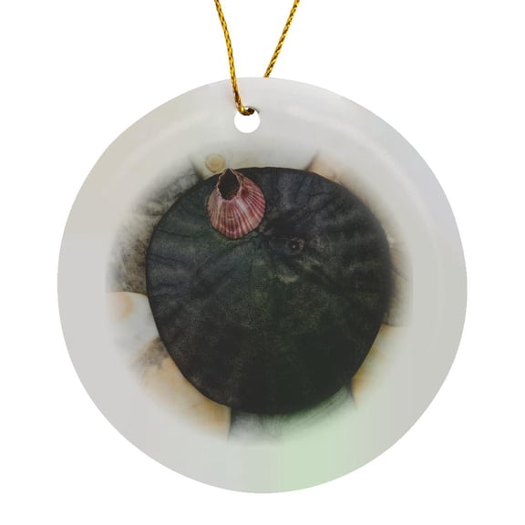 3drose, Usa, California. Barnacle and Sand Dollars on Beach., Circle Porcelain Ornament
