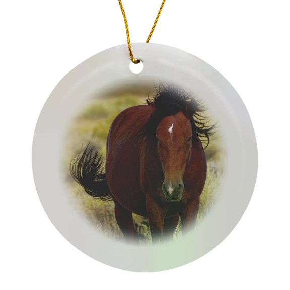 3drose, Usa, California. Close up of Wild Mustang Horse in Adobe Valley., Circle Porcelain Ornament