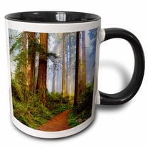 3drose, Usa, California. Del Norte Sp, Trail Leading into the Redwoods, 11oz Two-tone Black Mug