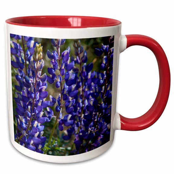 3drose, Usa, California. Flower Bloom Close Up in the Sierras., 11oz Two-tone Red Mug