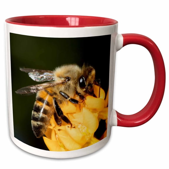 3drose, Usa, California. Honey Bee on Flower., 11oz Two-tone Red Mug