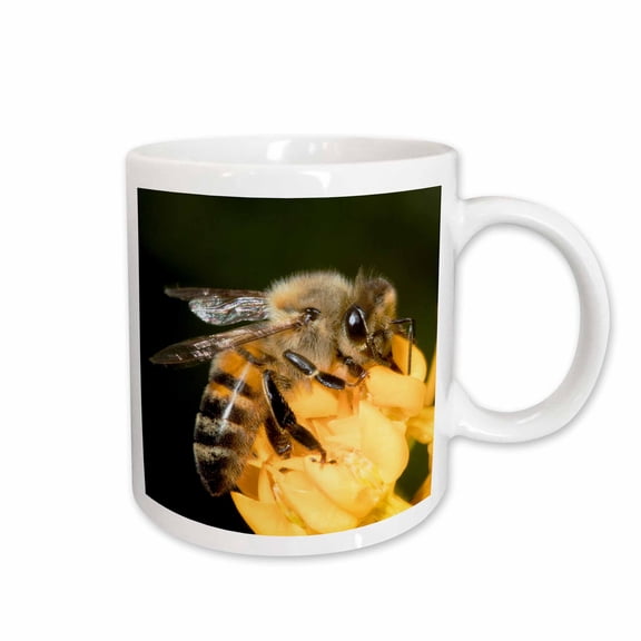 3drose, Usa, California. Honey Bee on Flower., 15oz Mug