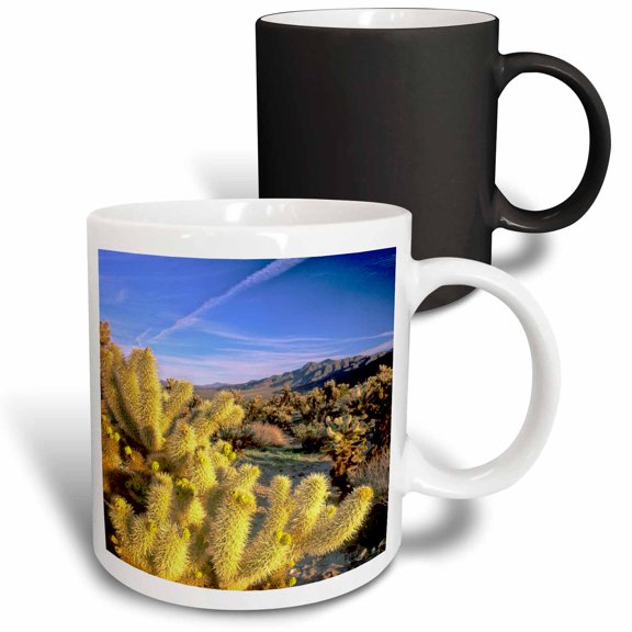 3drose, Usa, California, Joshua Tree National Park - Us05 Rdu0004 - Richard Duval, 11oz Magic Transforming Mug