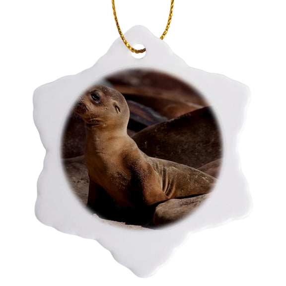 3drose, Usa, California, La Jolla. Baby Sea Lion and Adults on Beach., 3 inch Snowflake Porcelain Ornament