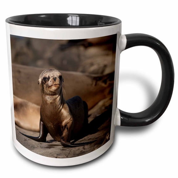 3drose, Usa, California, La Jolla. Baby Sea Lion on Sand., 11oz Two-tone Black Mug