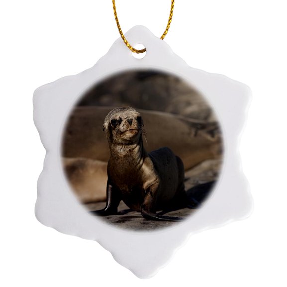 3drose, Usa, California, La Jolla. Baby Sea Lion on Sand., 3 inch Snowflake Porcelain Ornament