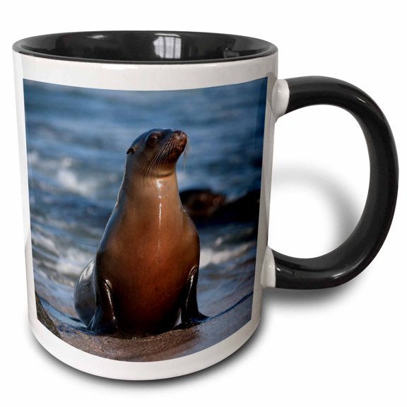 3drose, Usa, California, La Jolla. Sea Lion on Beach., 11oz Two-tone Black Mug