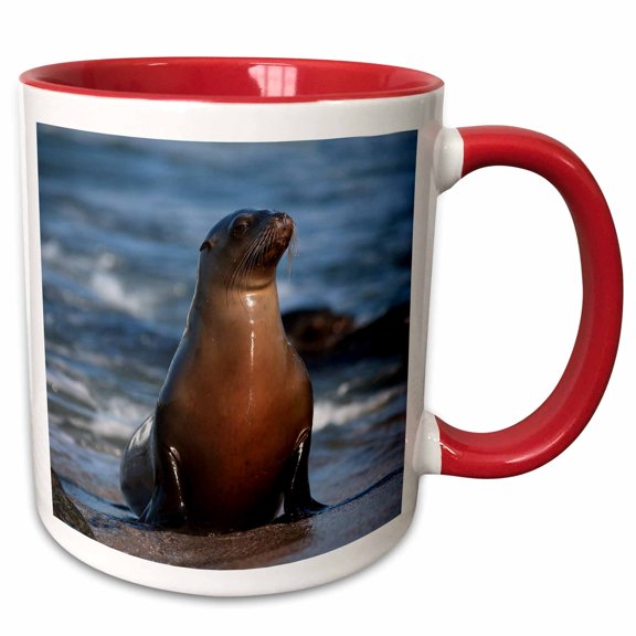 3drose, Usa, California, La Jolla. Sea Lion on Beach., 11oz Two-tone Red Mug