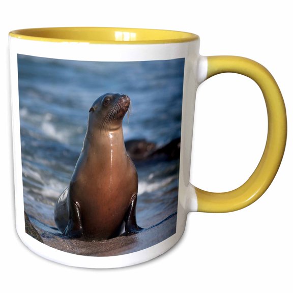 3drose, Usa, California, La Jolla. Sea Lion on Beach., 11oz Two-tone Yellow Mug