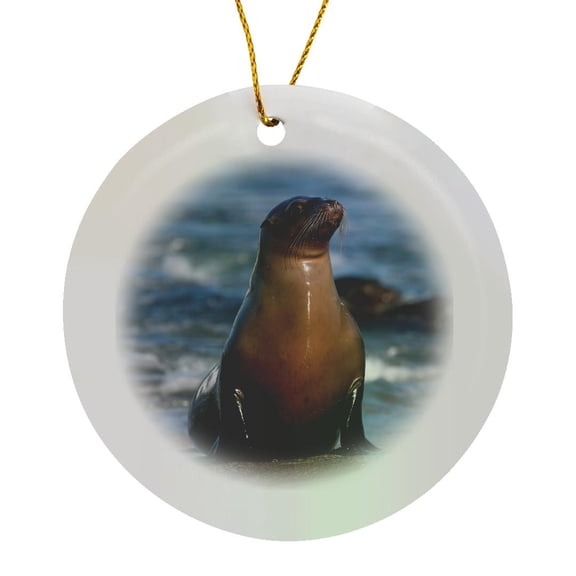 3drose, Usa, California, La Jolla. Sea Lion on Beach., Circle Porcelain Ornament